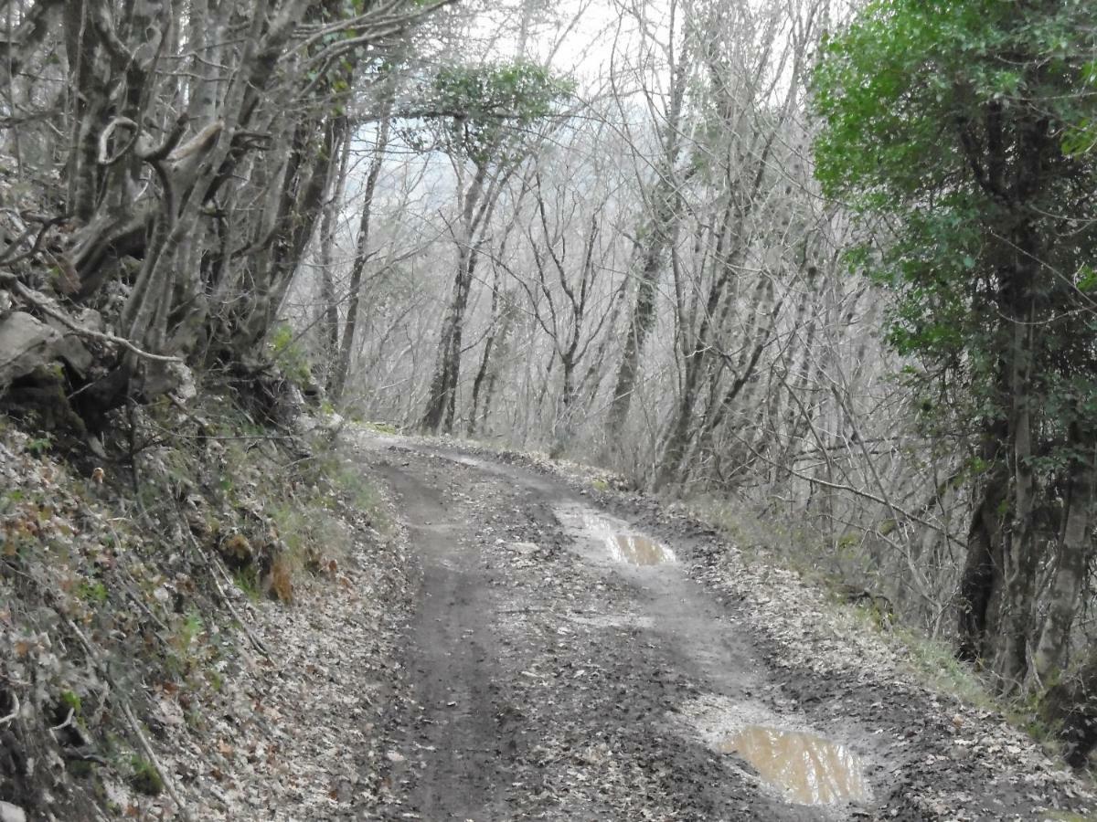 La Masseria Di Antonio E Teresina Colli a Volturno Exterior foto